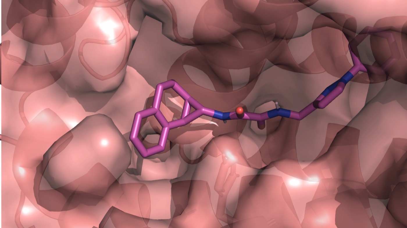 Molecular visualization from a virtual-screening project