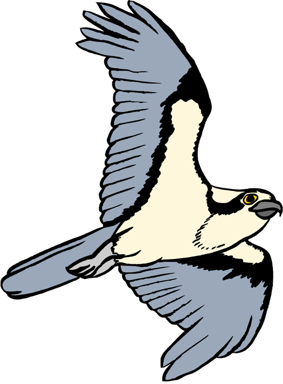 Description of image